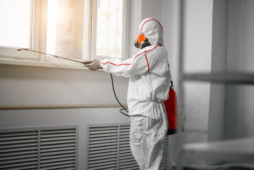 Professional mold remediation services in Orange City, FL